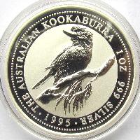 Kookaburra