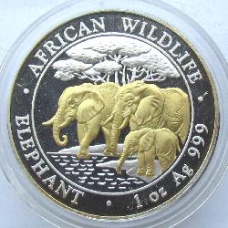 Somalia 100 shillings 2013