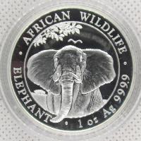 Elephants