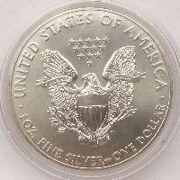 Vereinigte Staaten 1 $ - 1 Unze. 2013