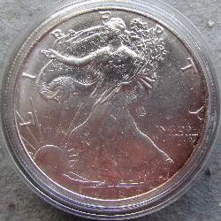 Vereinigte Staaten 1 $ - 1 Unze. 1996